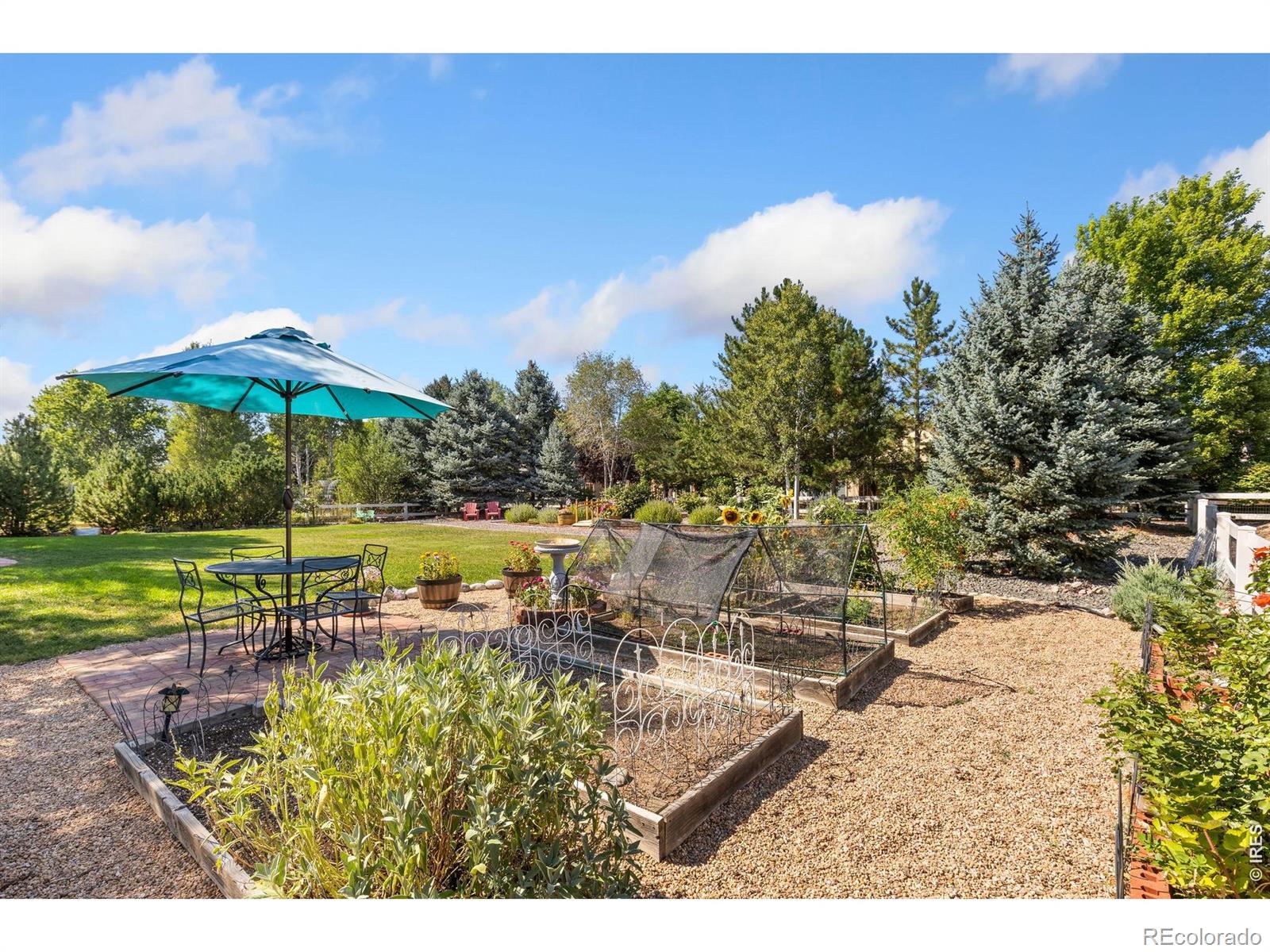 6595 Saddleback Avenue Firestone CO 80504
