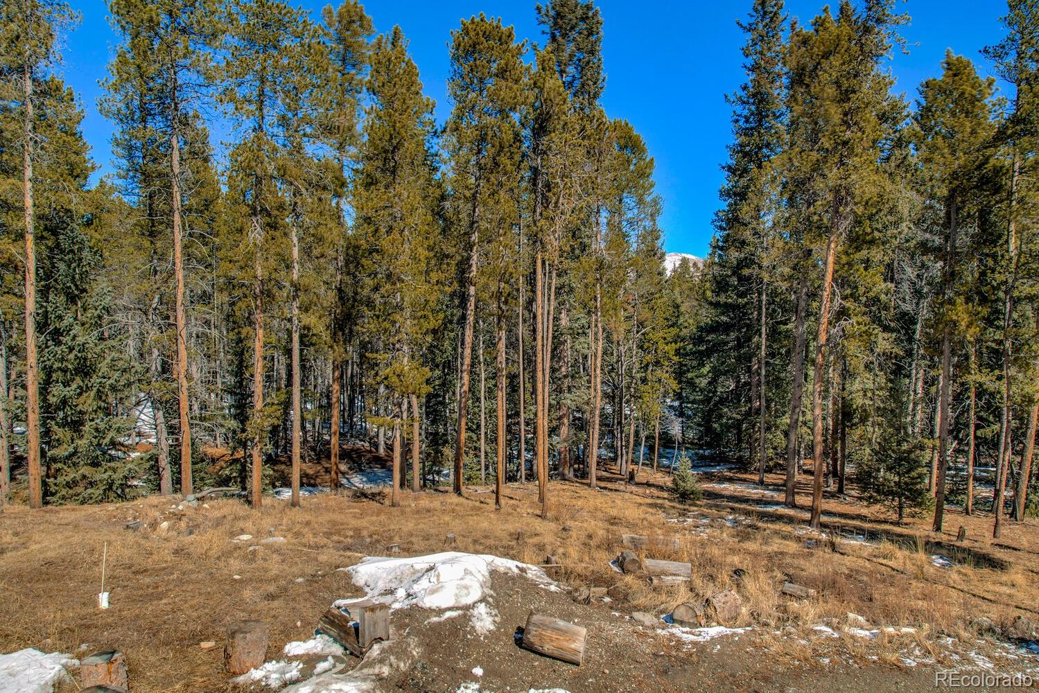 154 Lakeside Drive Fairplay CO 80440