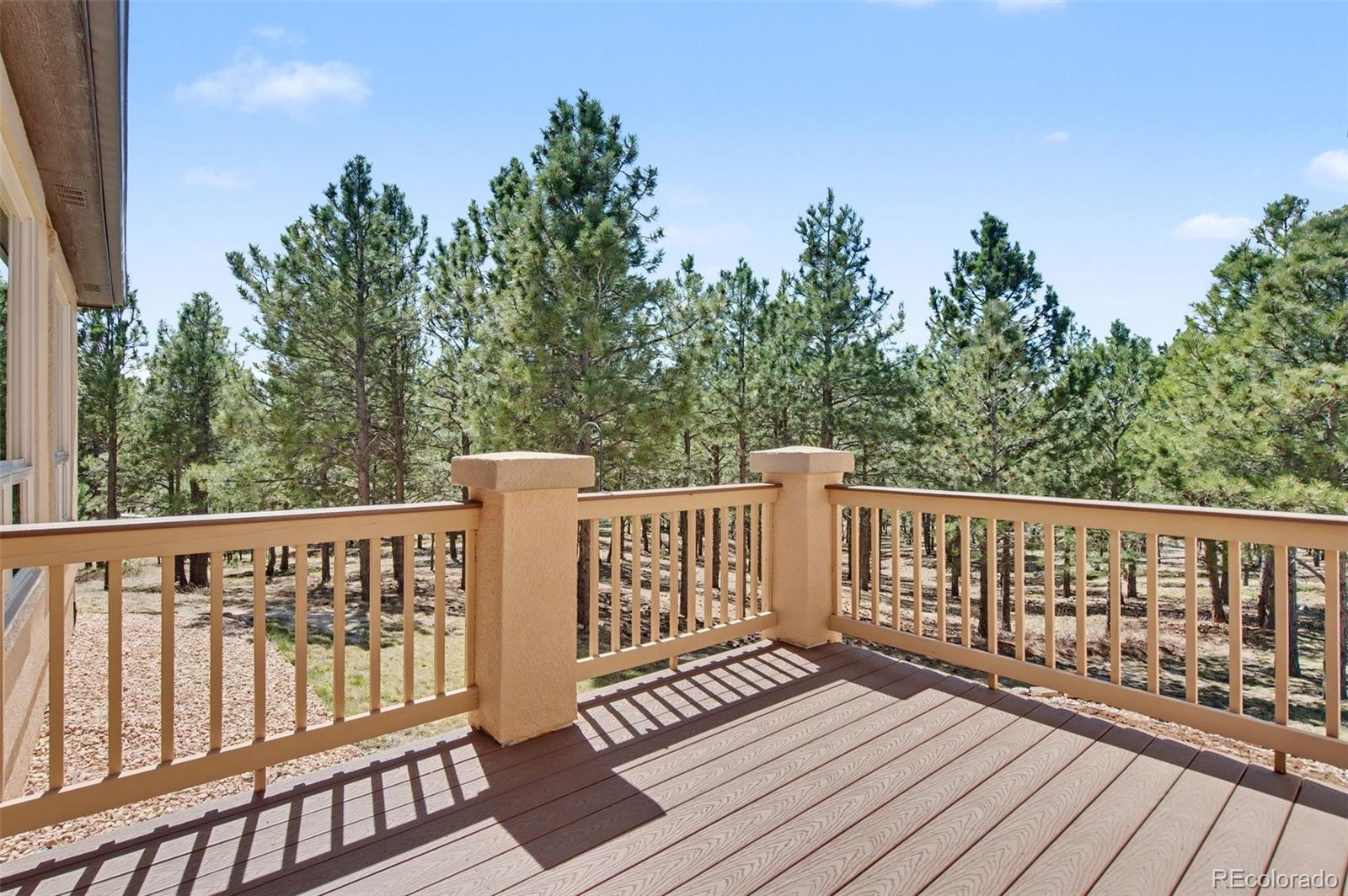 16242 Timber Meadow Drive Colorado Springs CO 80908