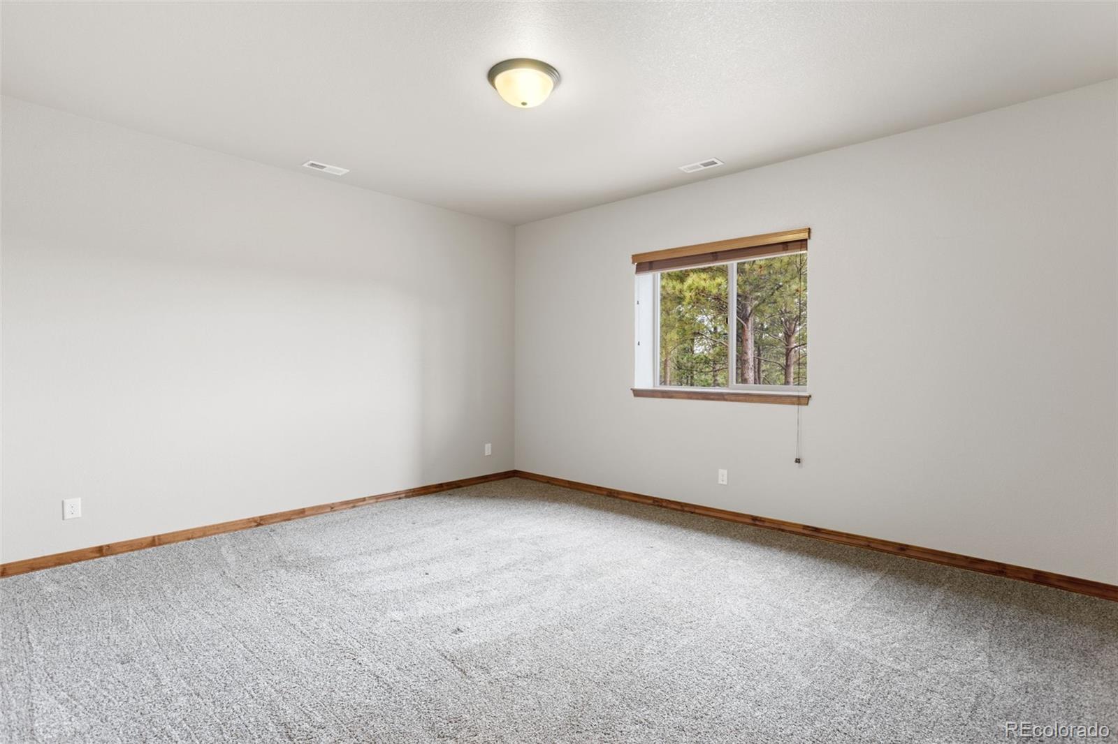 16242 Timber Meadow Drive Colorado Springs CO 80908