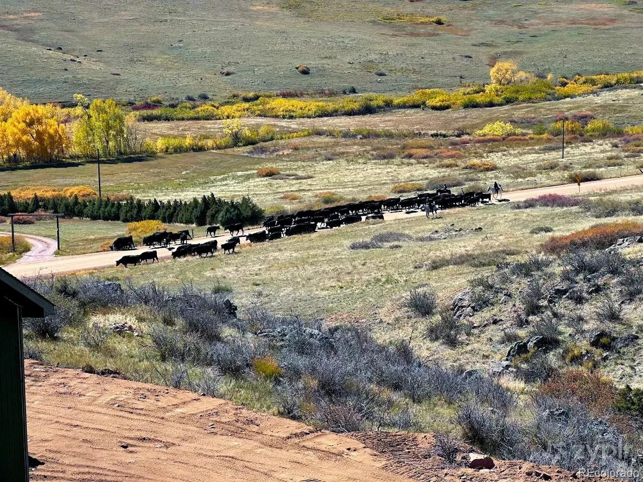 3050 W County Road 82e Livermore CO 80536
