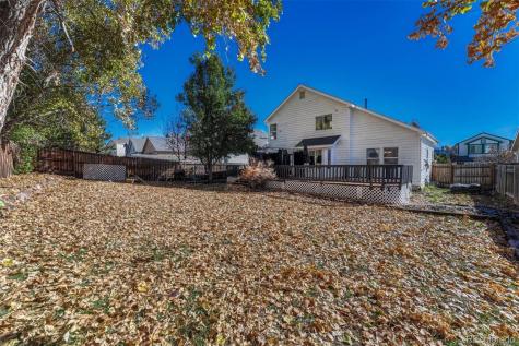 7295 Cotton Drive Colorado Springs CO 80923