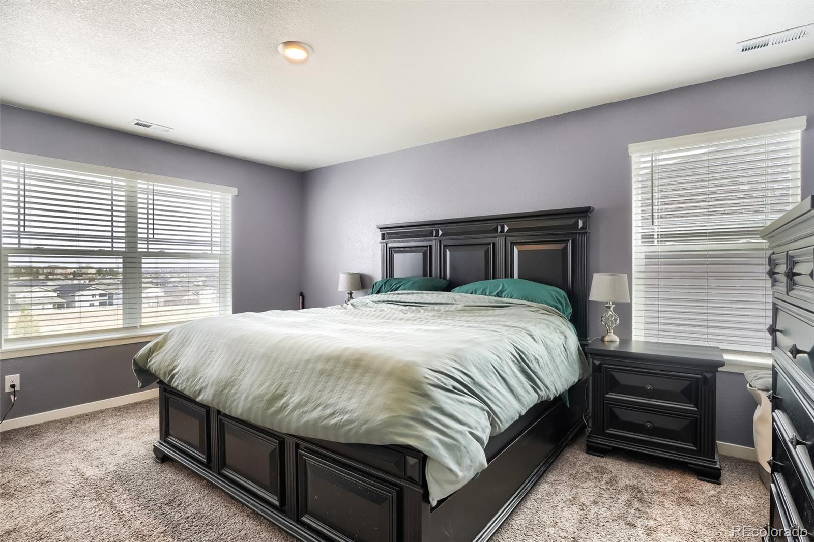 2015 Rosette Place Castle Rock CO 80104