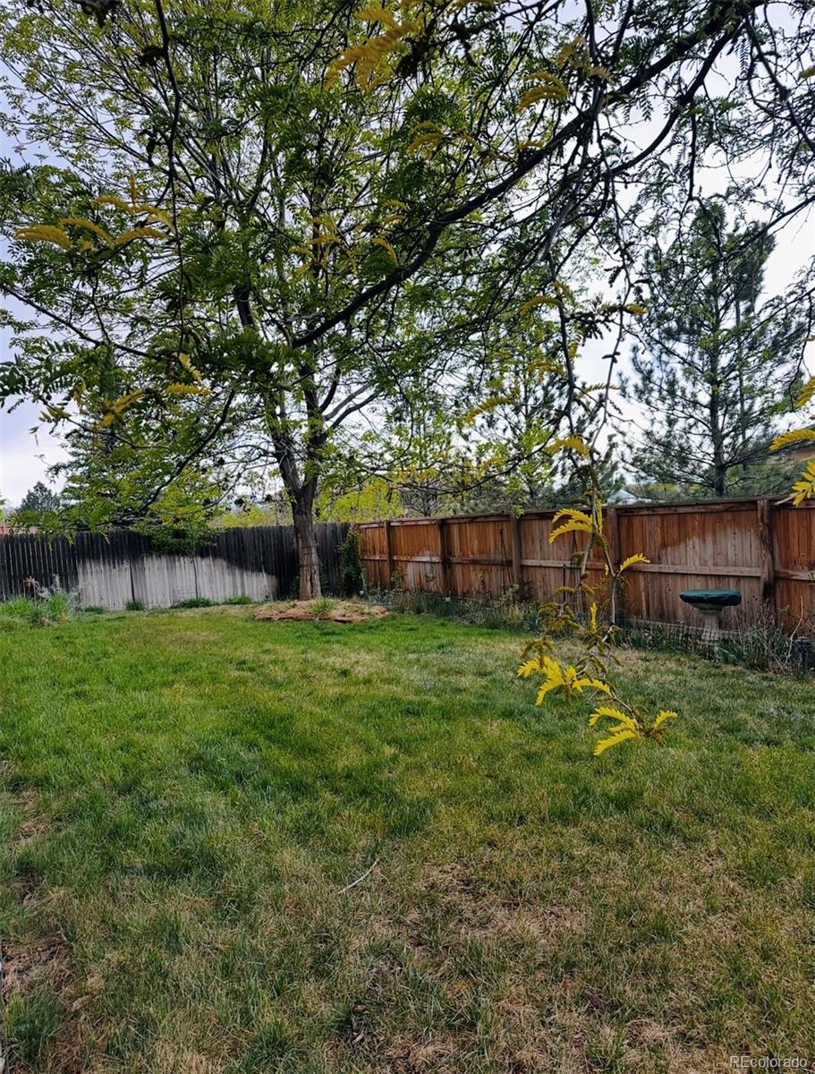 2989 E 135th Place Thornton CO 80241