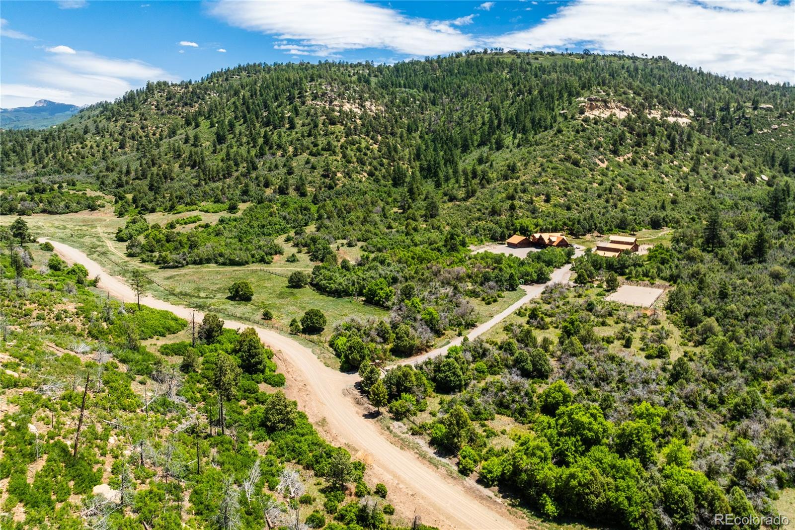 6590 Road 46 Mancos CO 81328
