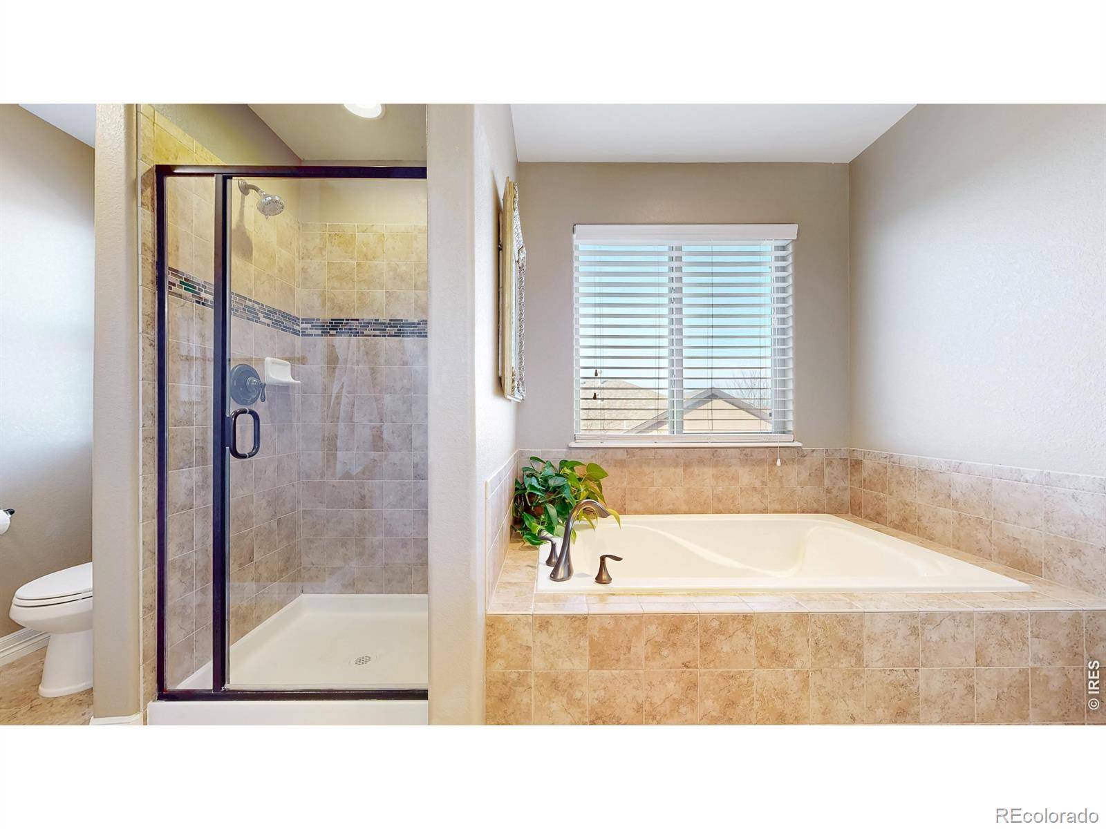 4719 Tarragon Drive Johnstown CO 80534