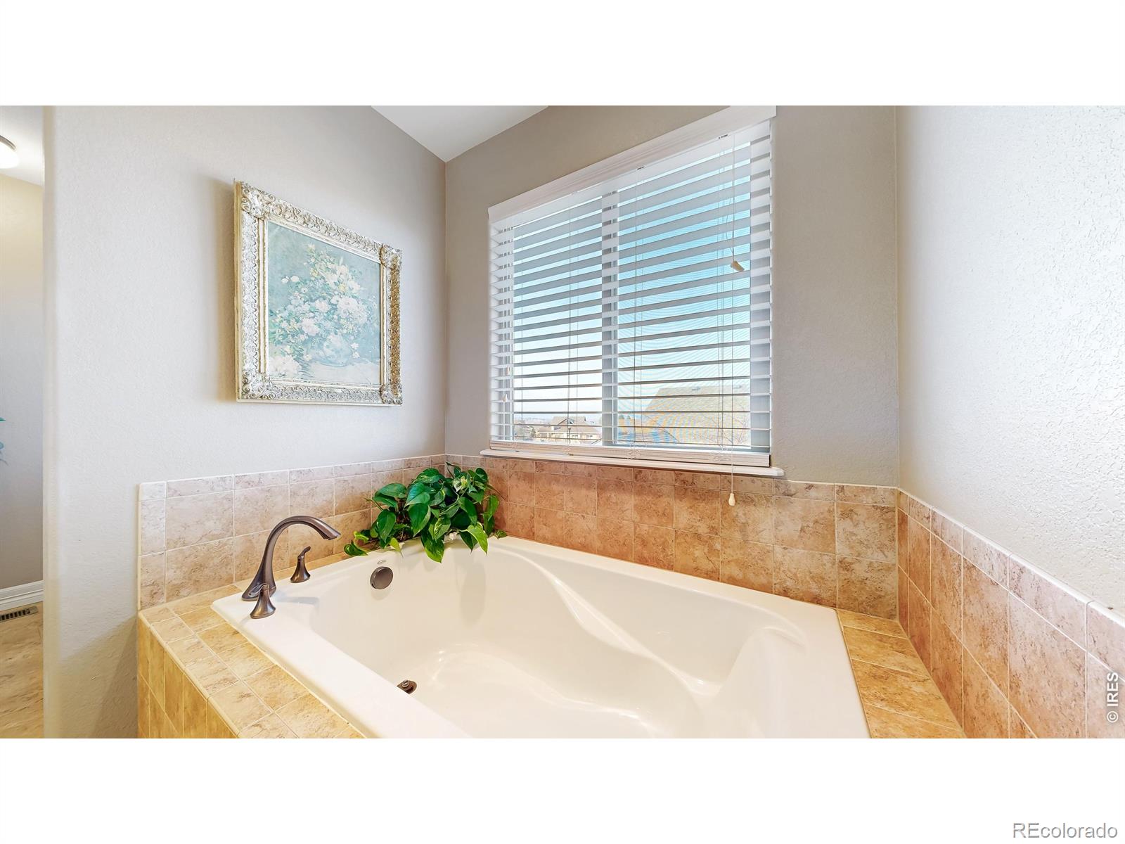 4719 Tarragon Drive Johnstown CO 80534