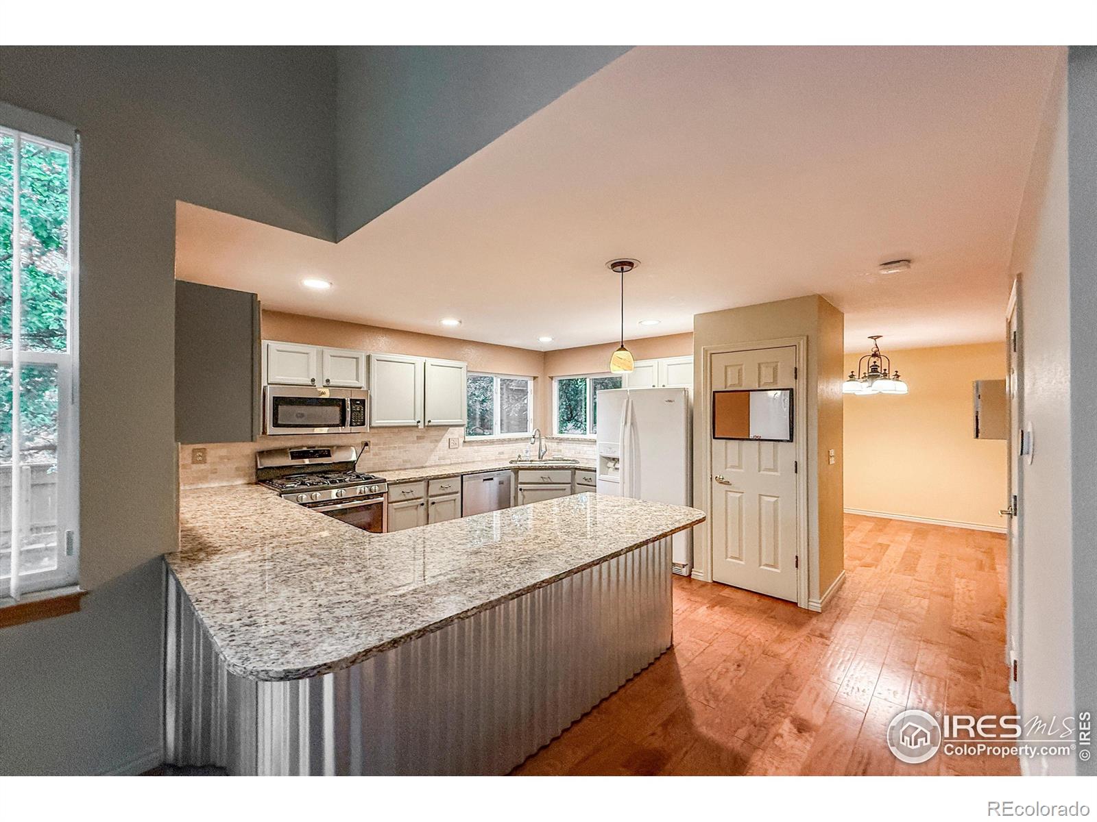 1004 Chokecherry Lane Longmont CO 80503