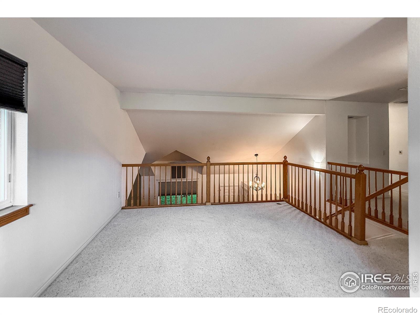 1004 Chokecherry Lane Longmont CO 80503
