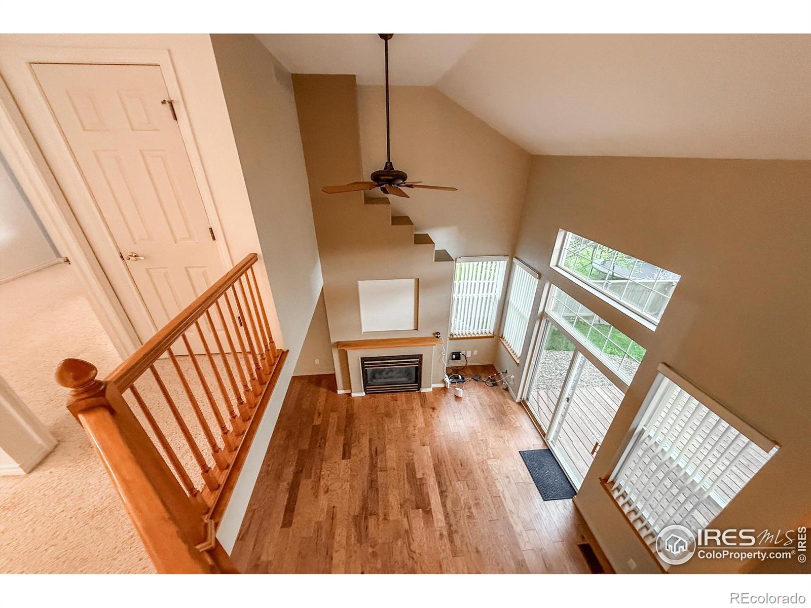 1004 Chokecherry Lane Longmont CO 80503
