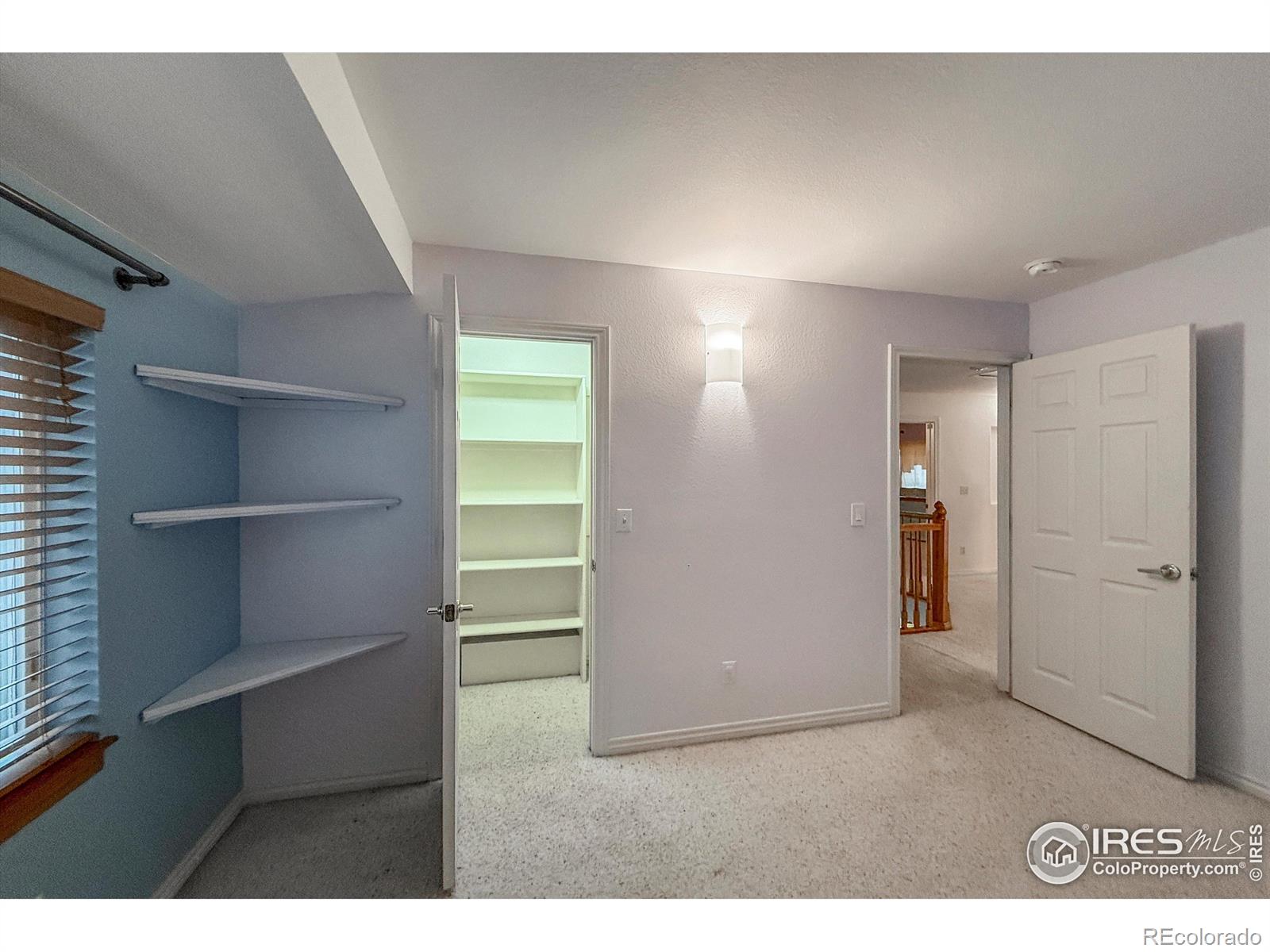 1004 Chokecherry Lane Longmont CO 80503