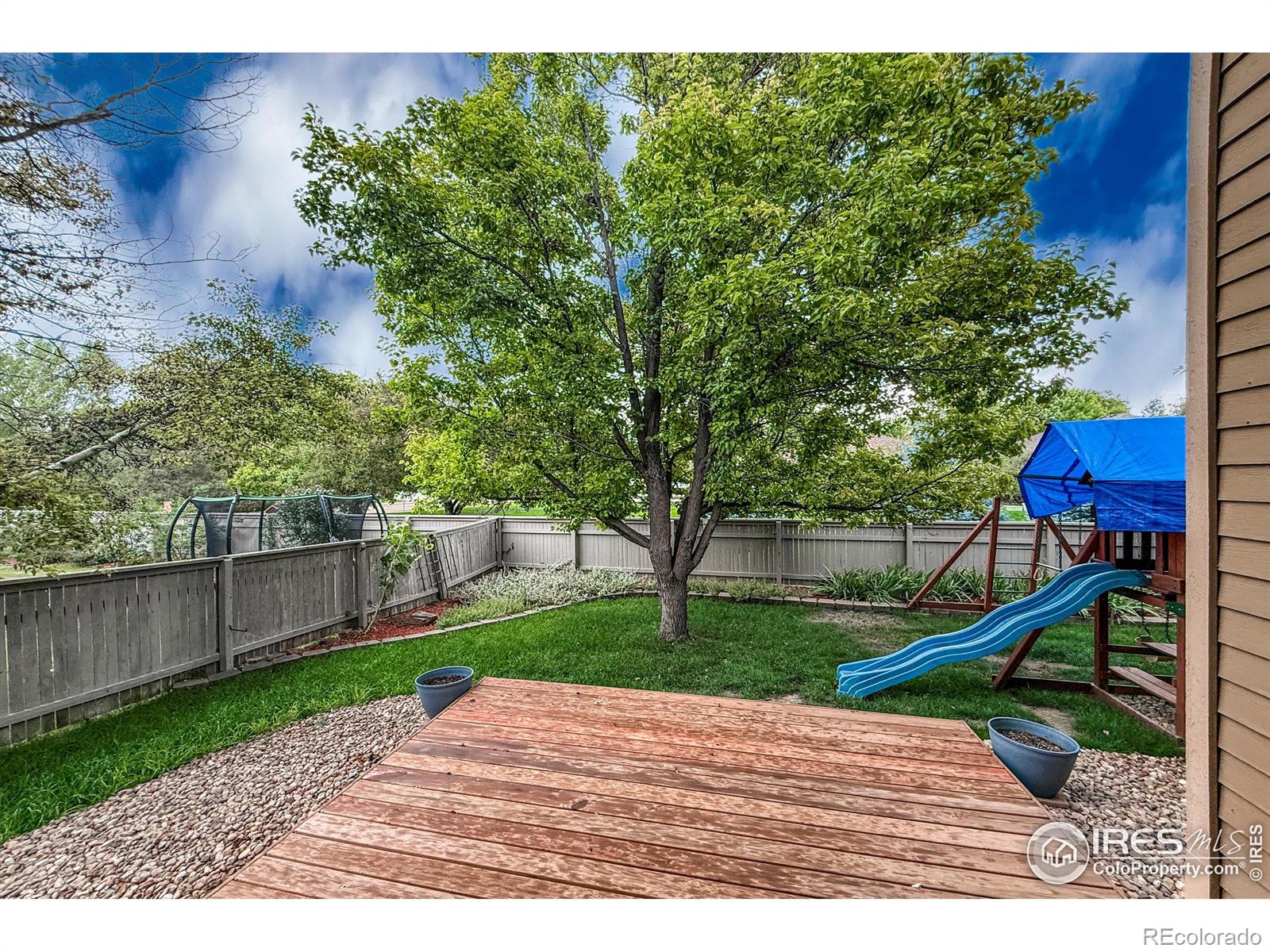 1004 Chokecherry Lane Longmont CO 80503