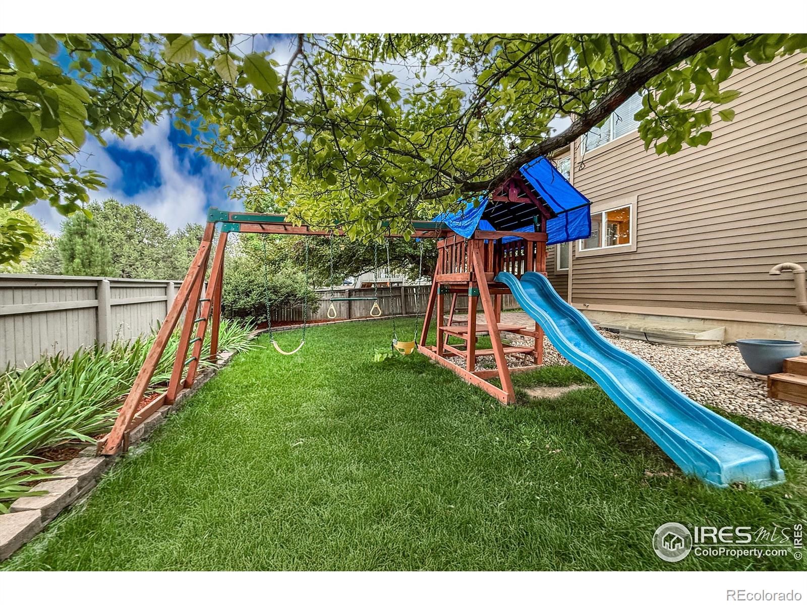 1004 Chokecherry Lane Longmont CO 80503