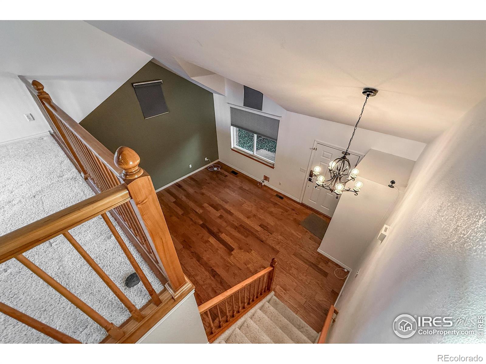 1004 Chokecherry Lane Longmont CO 80503