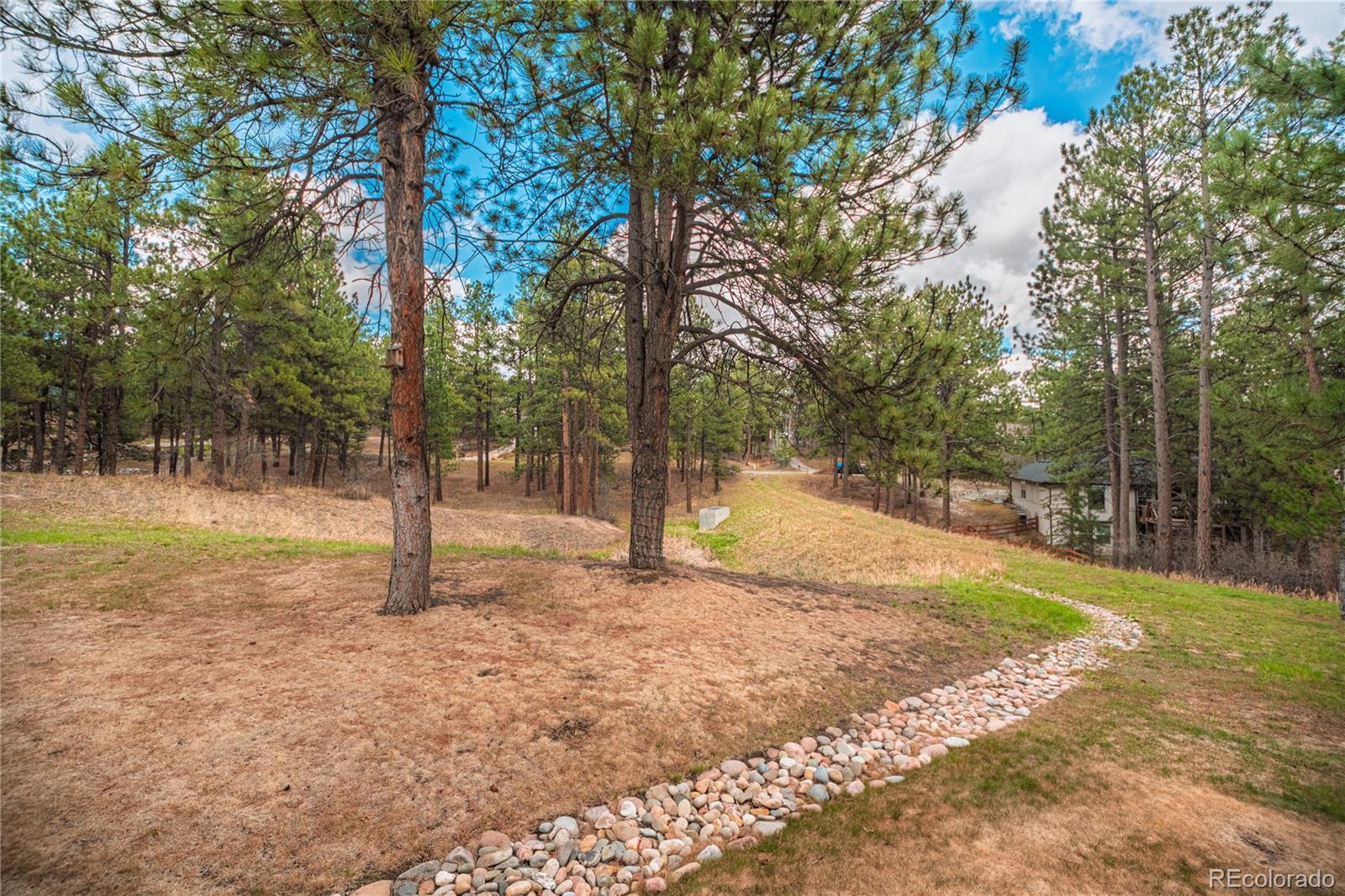 1000 Cochetopa Drive Larkspur CO 80118