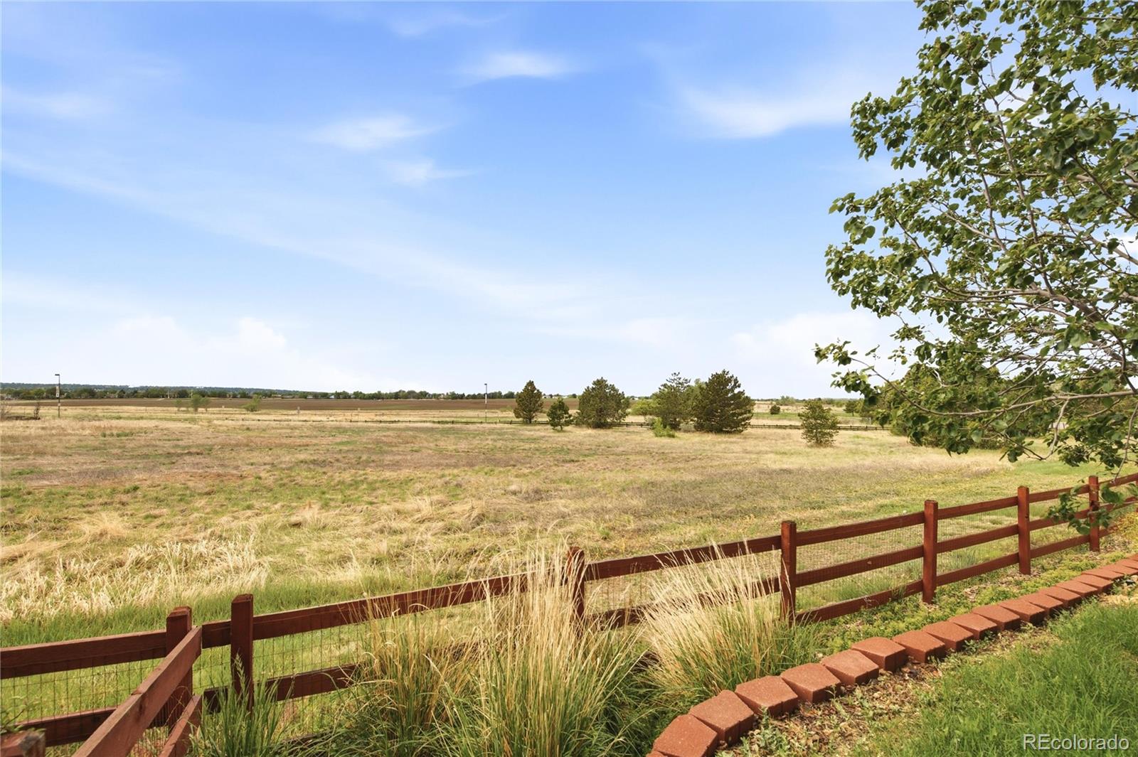 4300 Red Deer Trail Broomfield CO 80020