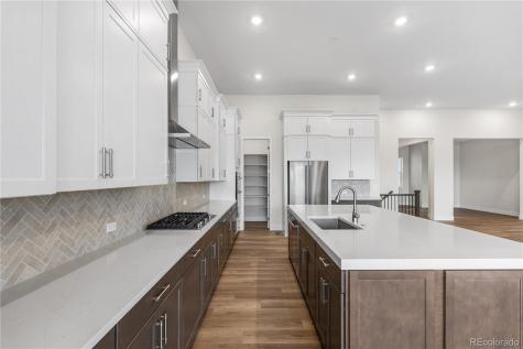 7282 Timberstone Street Castle Pines CO 80108