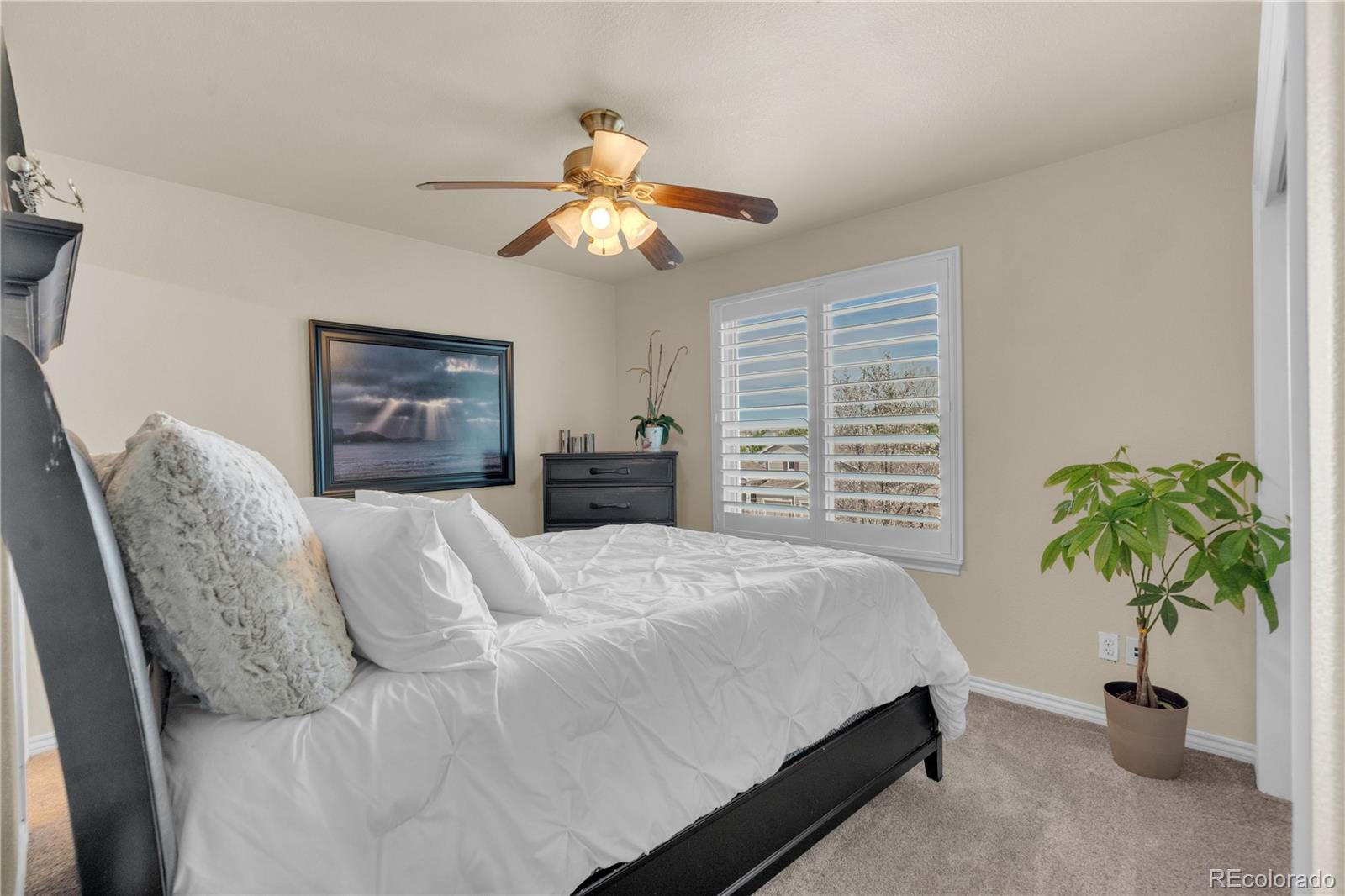 2973 Breezy Lane Castle Rock CO 80109