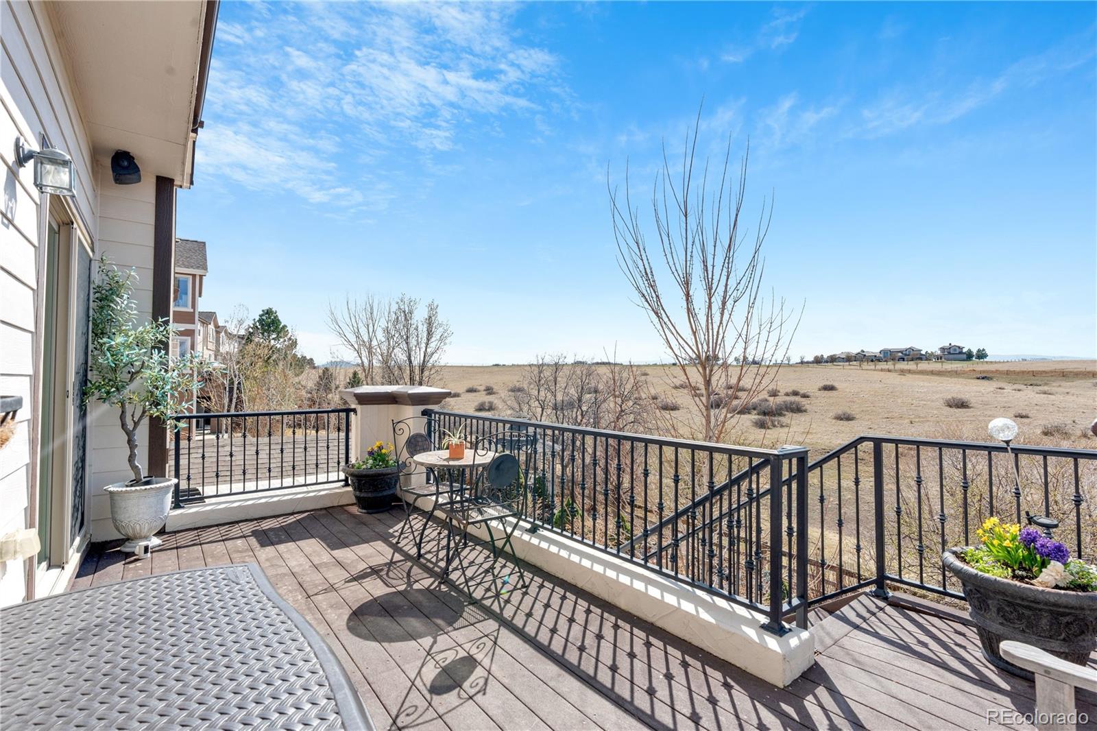 2973 Breezy Lane Castle Rock CO 80109