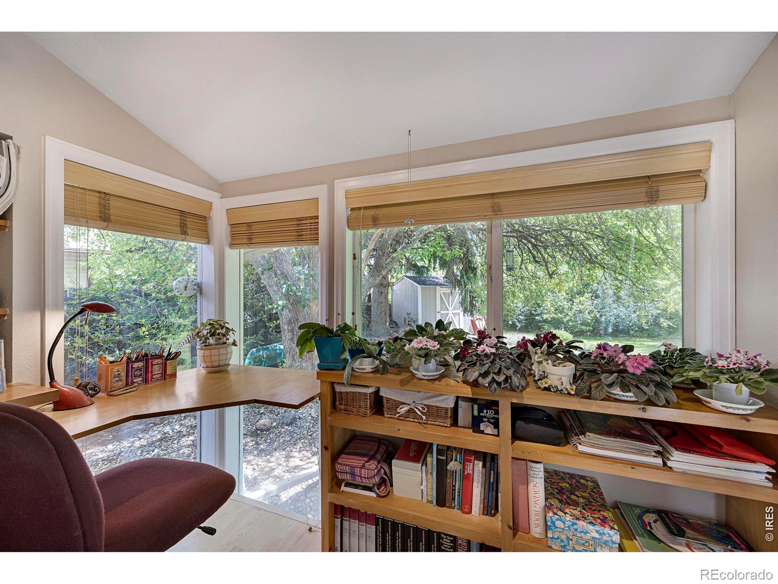 2404 Constitution Avenue Fort Collins CO 80526