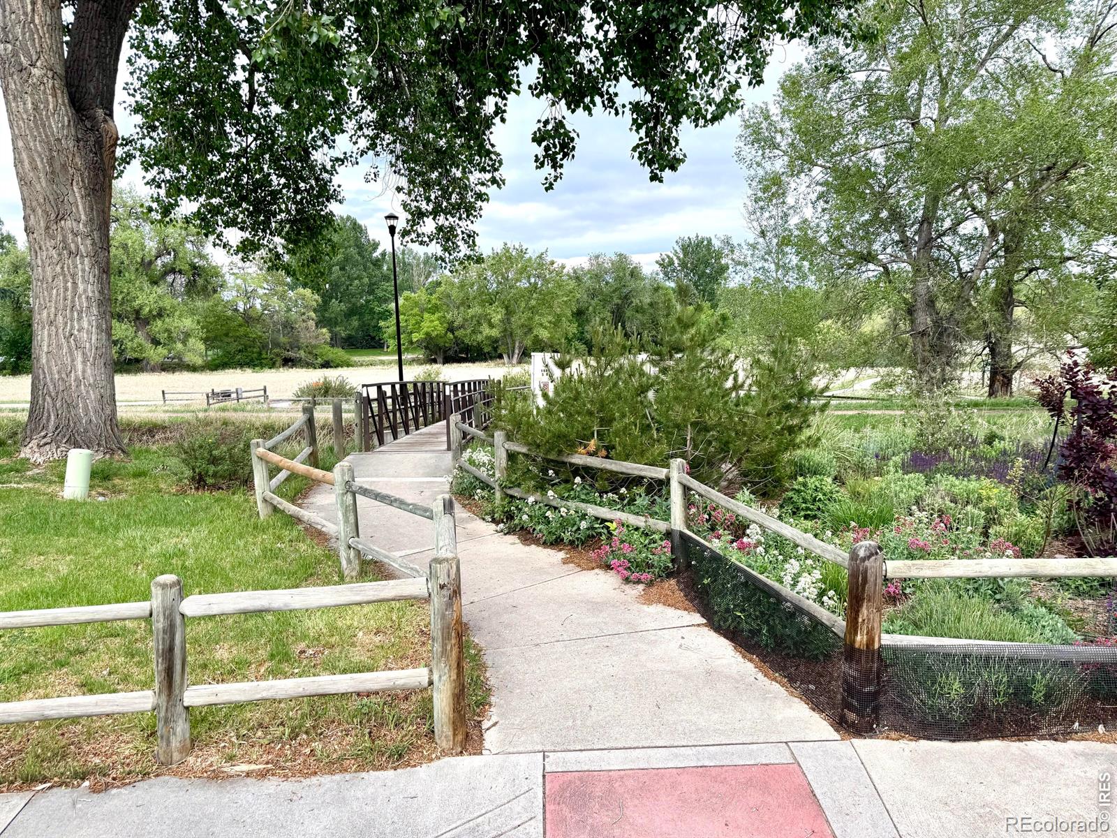 2404 Constitution Avenue Fort Collins CO 80526