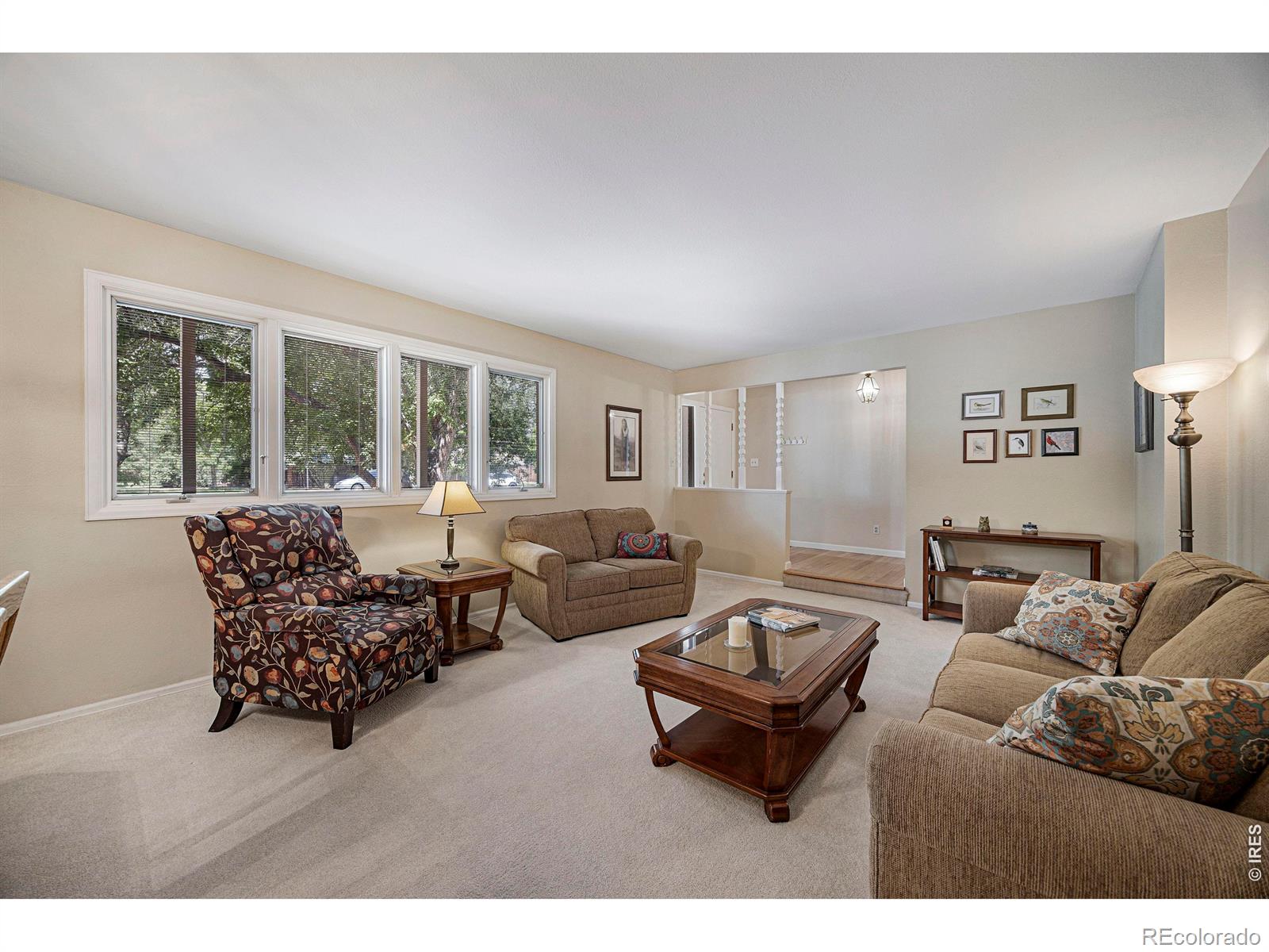 2404 Constitution Avenue Fort Collins CO 80526