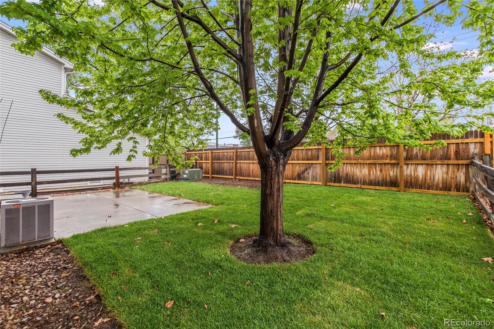 3516 Dexter Court Denver CO 80207
