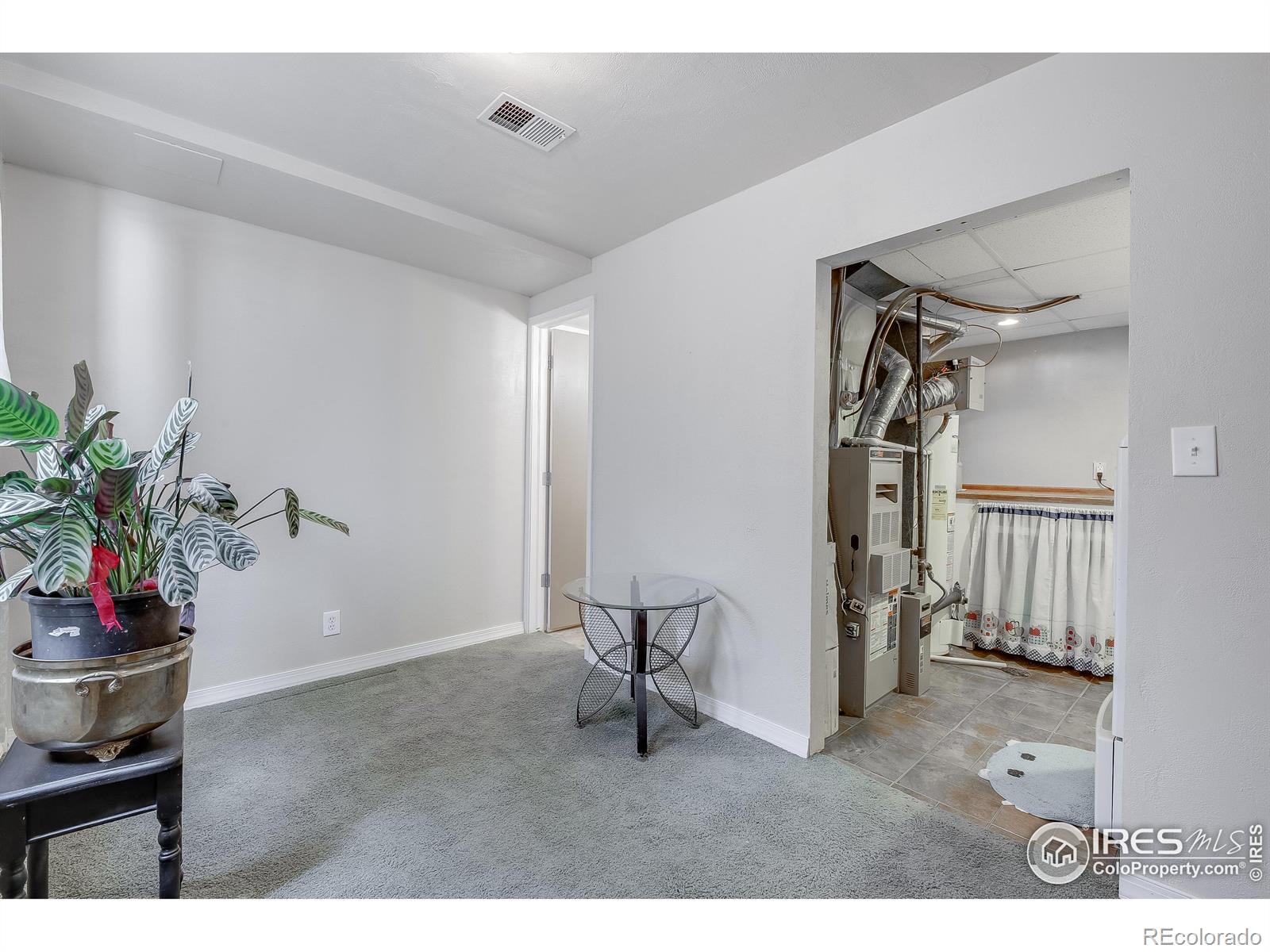 1916 Delwood Avenue Greeley CO 80631