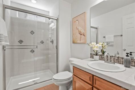 4888 Persimmon Lane Castle Rock CO 80109