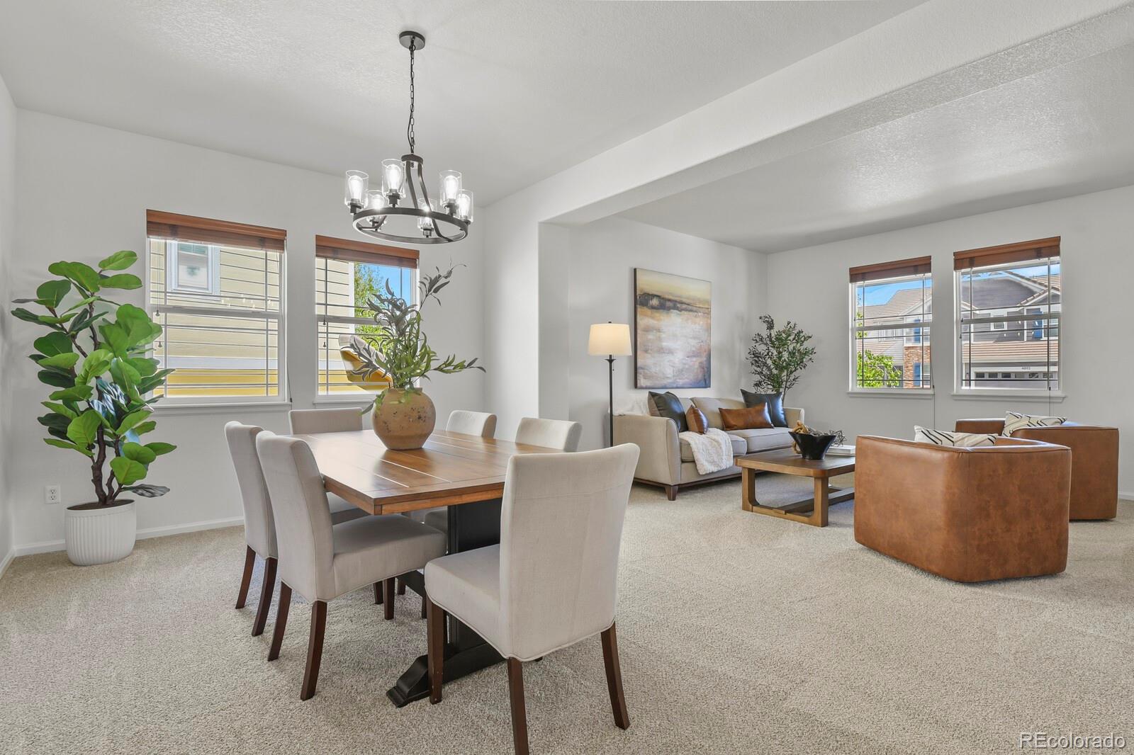 4888 Persimmon Lane Castle Rock CO 80109