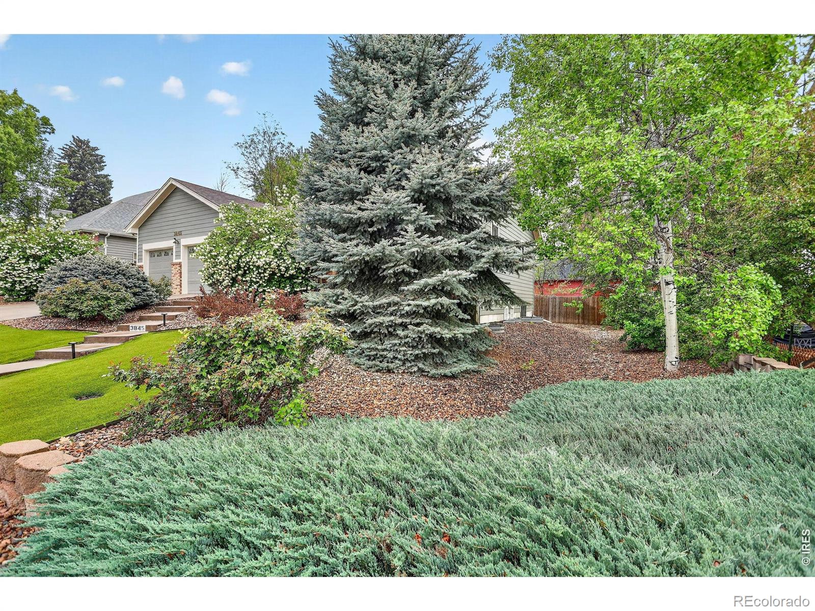 3845 Cody Street Wheat Ridge CO 80033