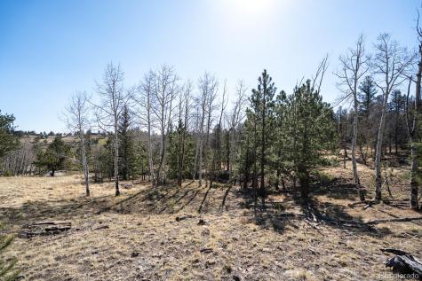 1657 Windmill Drive Hartsel CO 80449