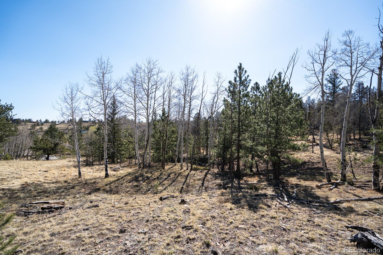 1657 Windmill Drive Hartsel CO 80449