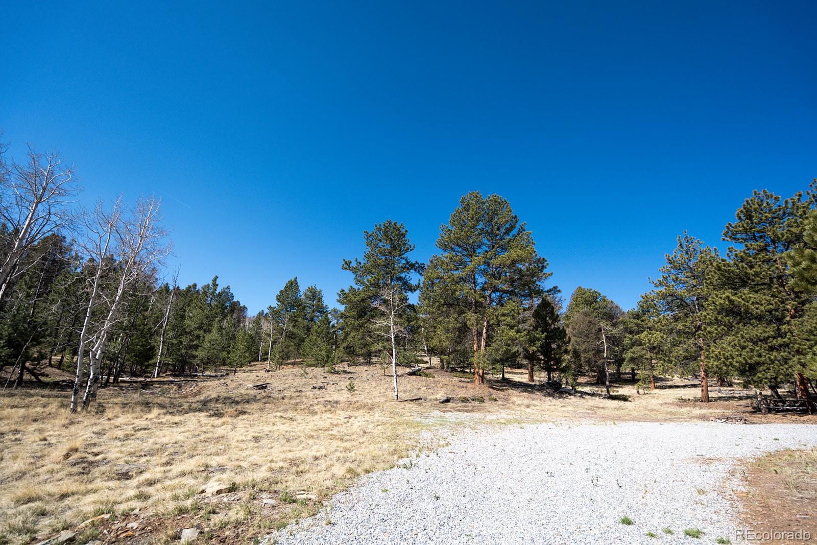 1657 Windmill Drive Hartsel CO 80449