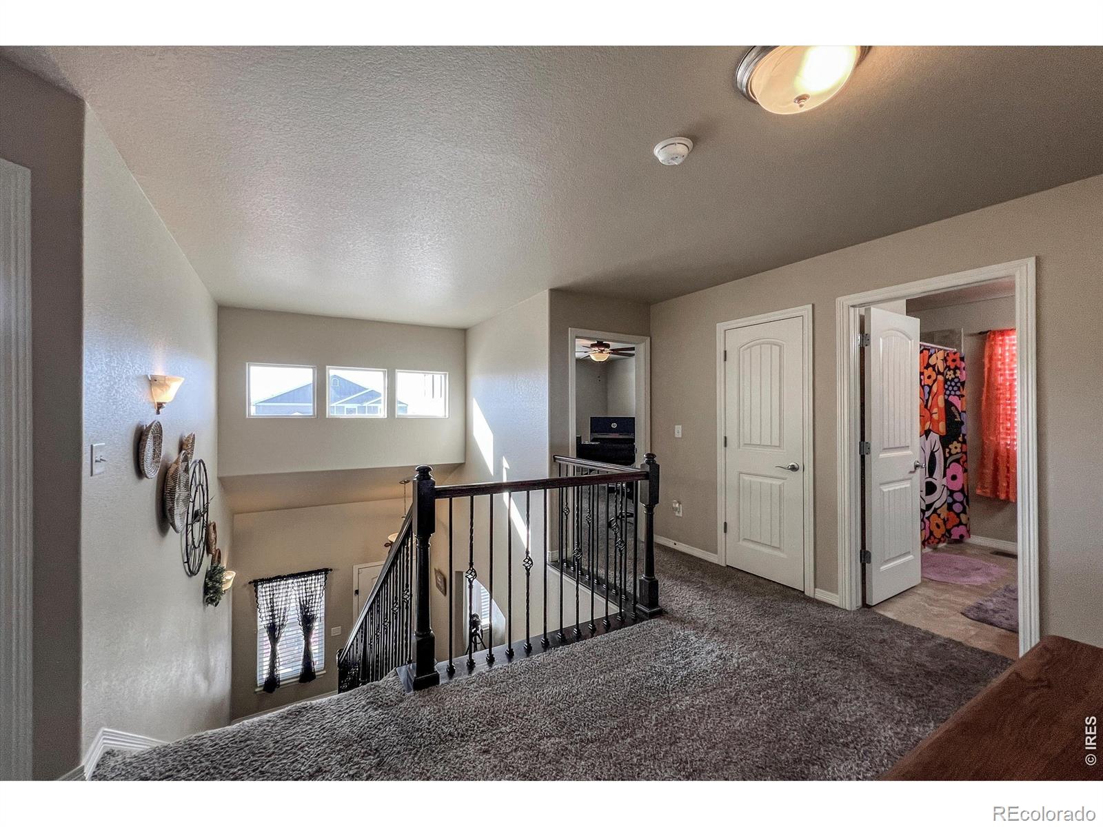6834 Blue Spruce Street Frederick CO 80530