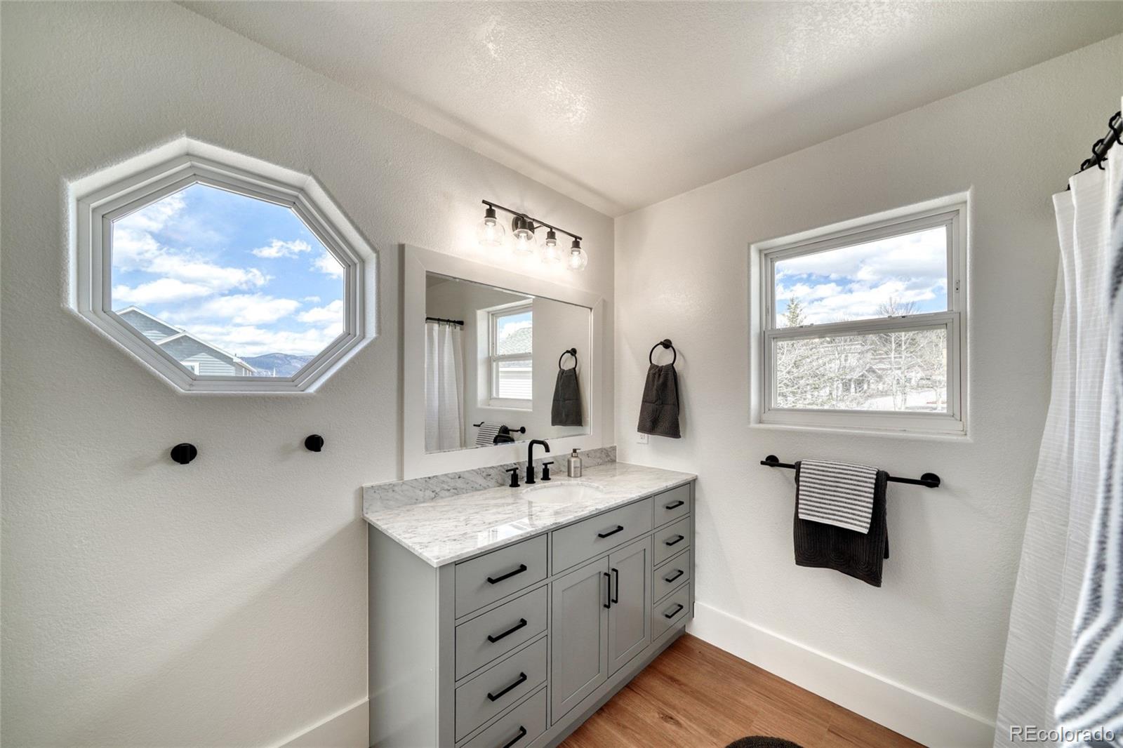 172 Brooklyn Circle Leadville CO 80461