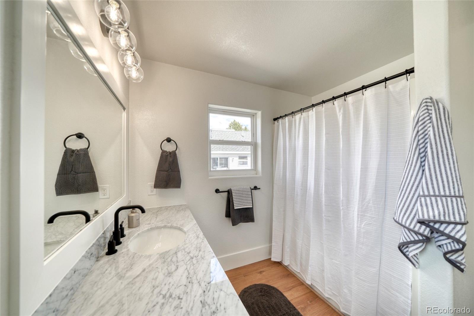 172 Brooklyn Circle Leadville CO 80461
