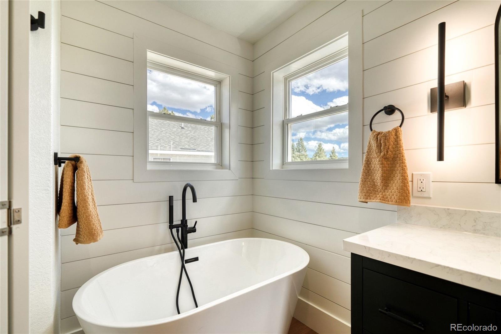 172 Brooklyn Circle Leadville CO 80461