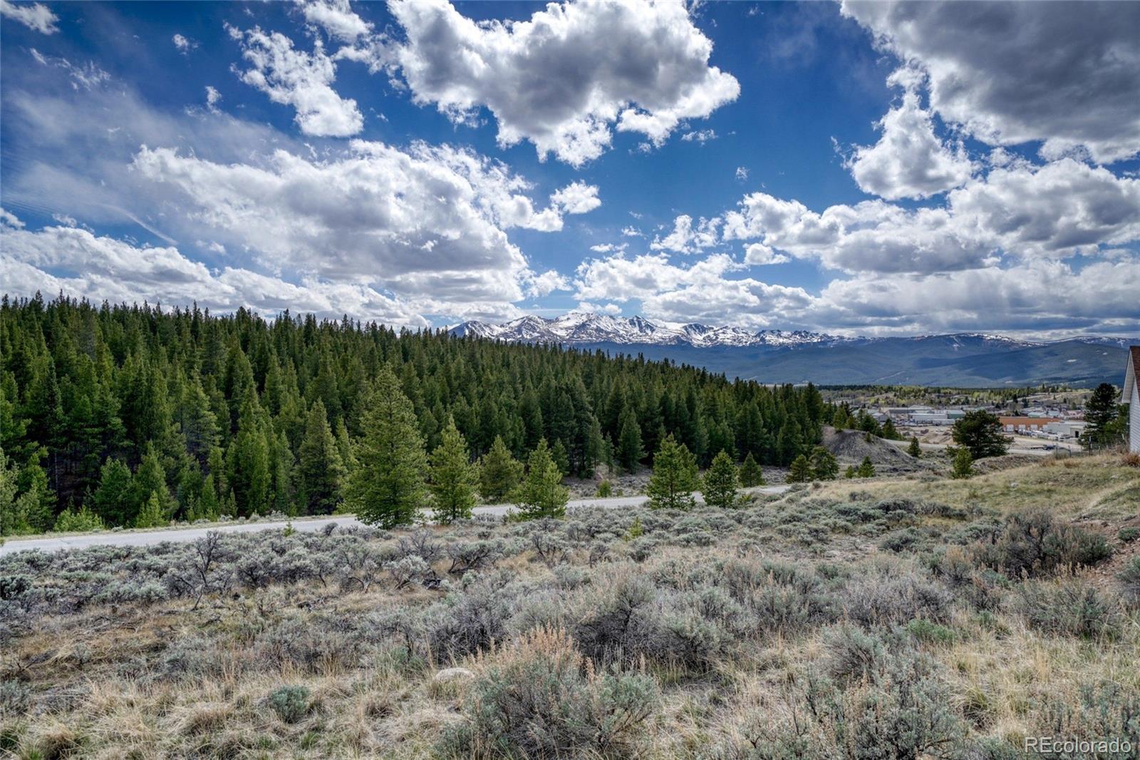 172 Brooklyn Circle Leadville CO 80461