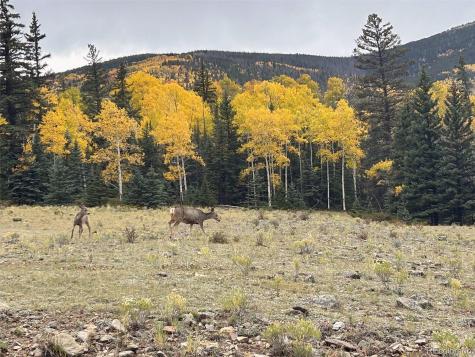 45950 Rainbow Trail Villa Grove CO 81155