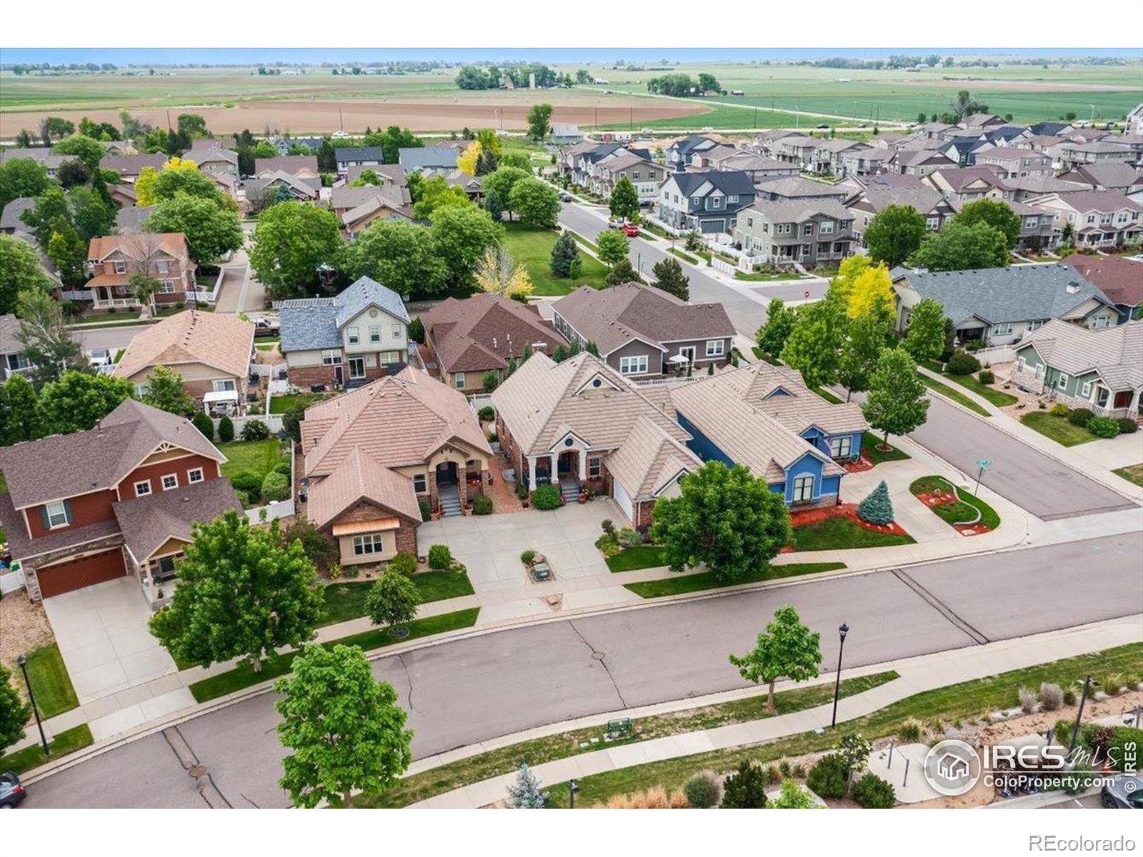 2324 Steppe Drive Longmont CO 80504