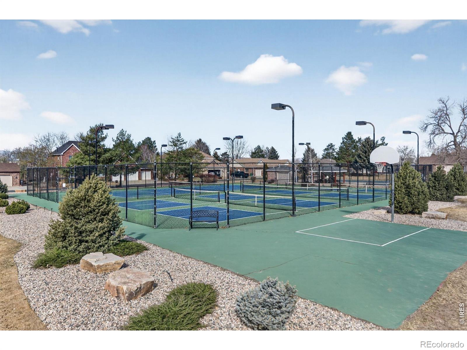 2463 Amber Drive Loveland CO 80537