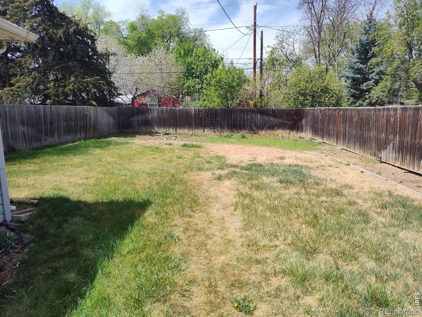 739 Vivian Street Longmont CO 80501