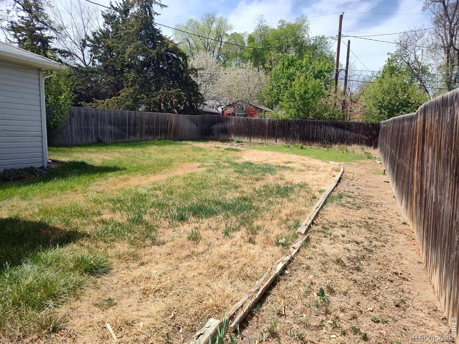 739 Vivian Street Longmont CO 80501