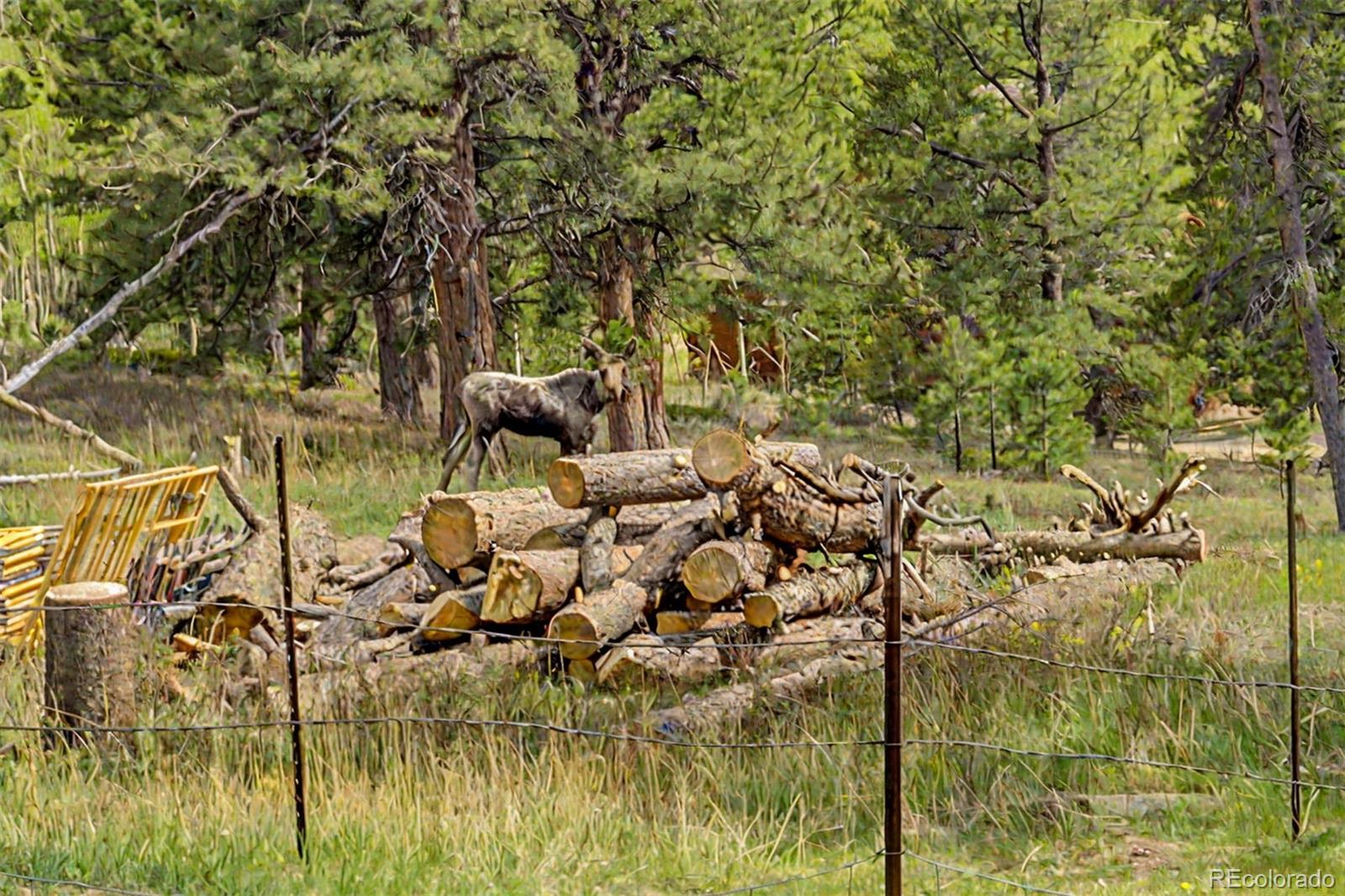 26 Howe Court Black Hawk CO 80422
