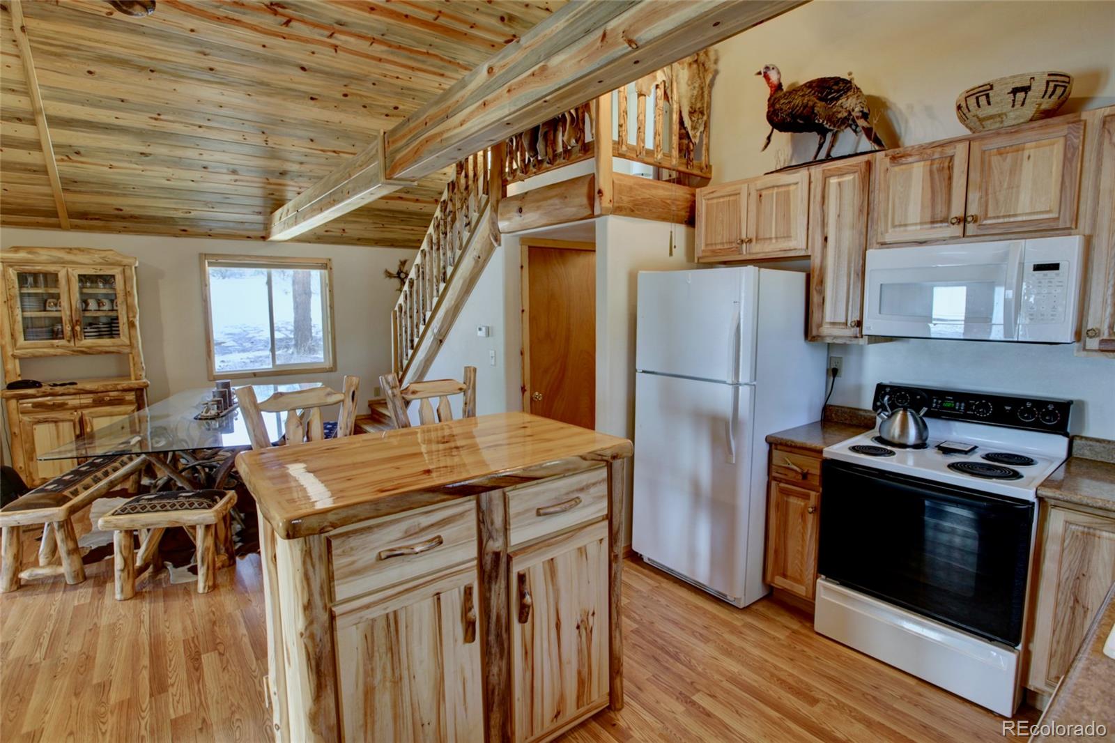 530 Red Feather Road Cotopaxi CO 81223