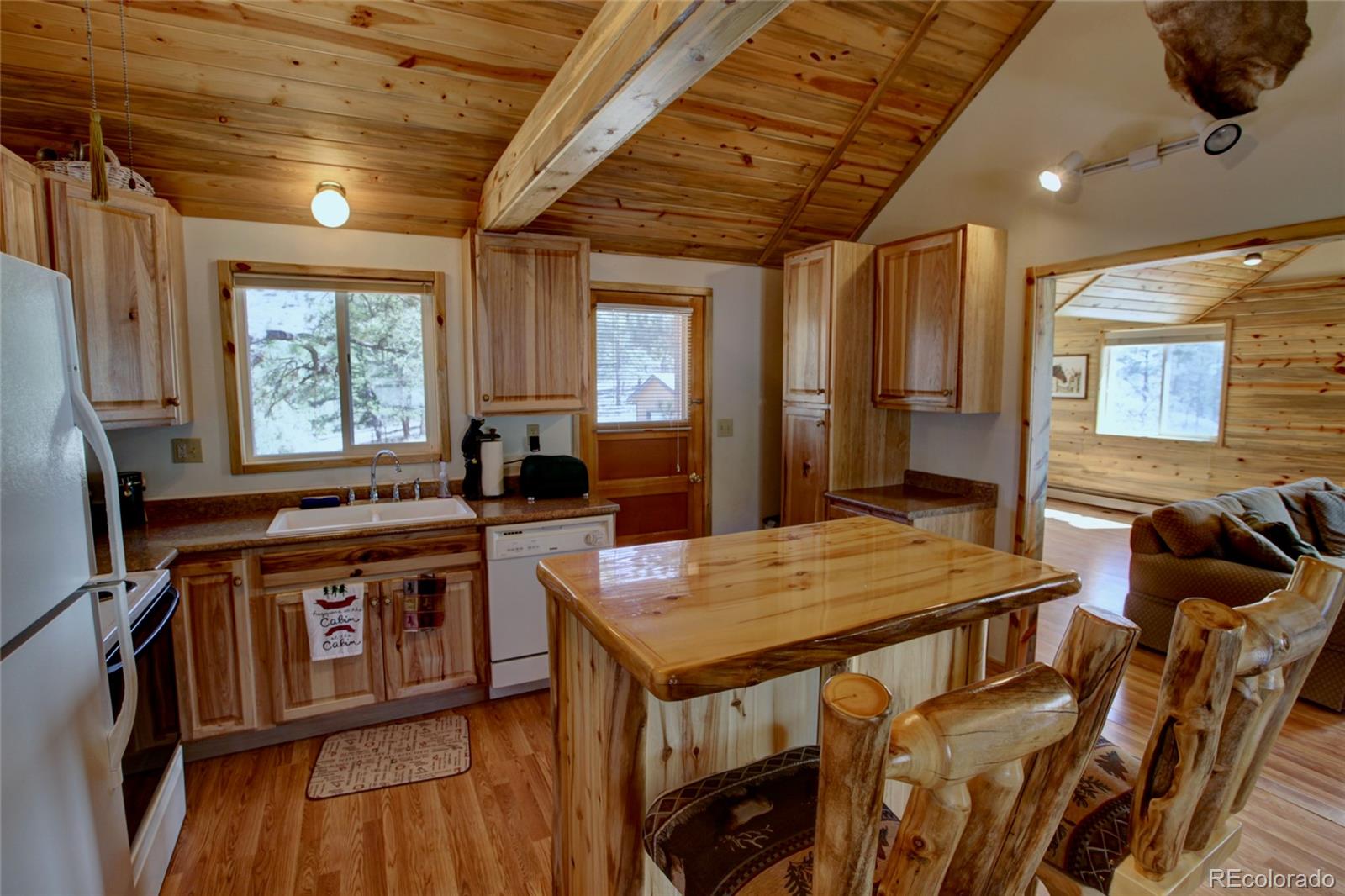 530 Red Feather Road Cotopaxi CO 81223