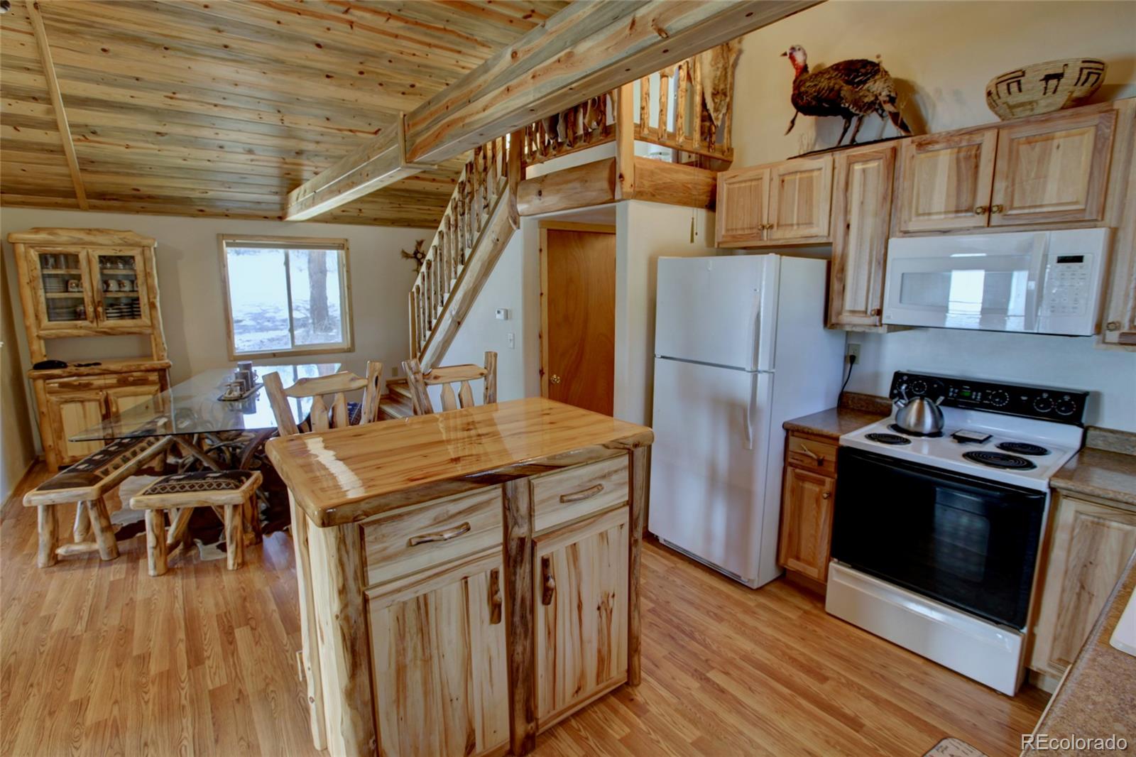 530 Red Feather Road Cotopaxi CO 81223