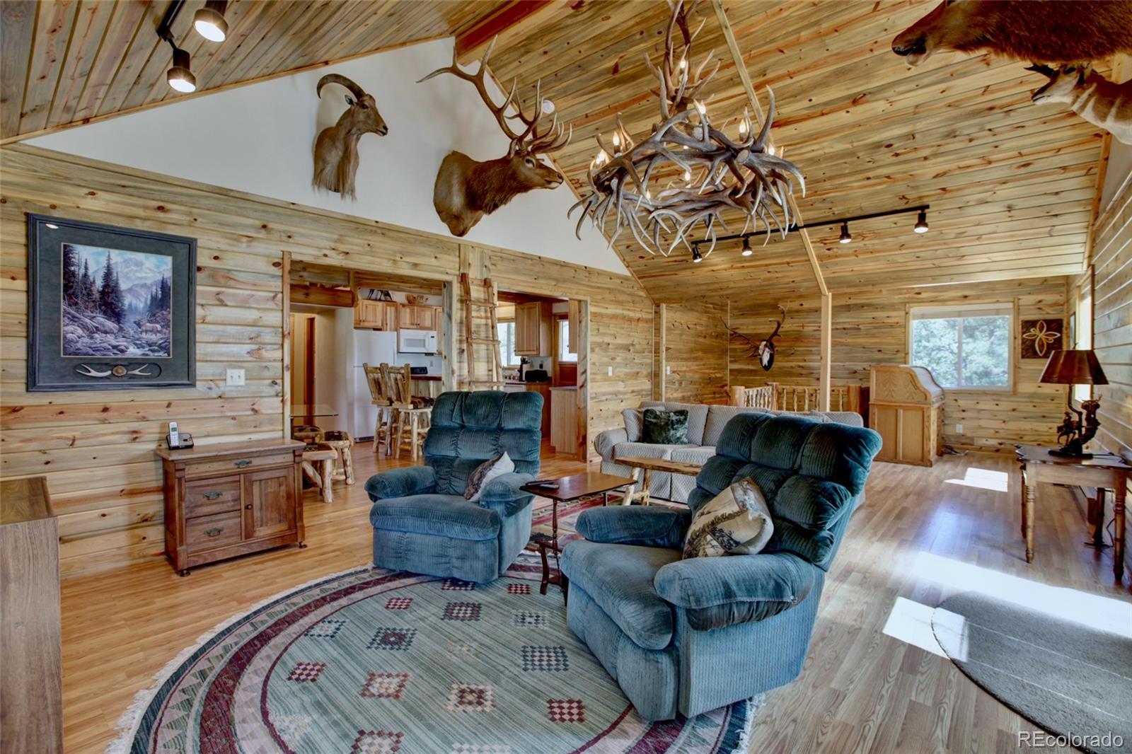 530 Red Feather Road Cotopaxi CO 81223