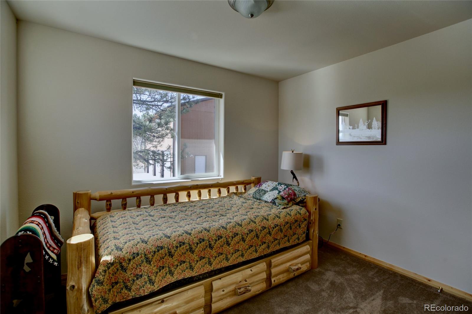 530 Red Feather Road Cotopaxi CO 81223